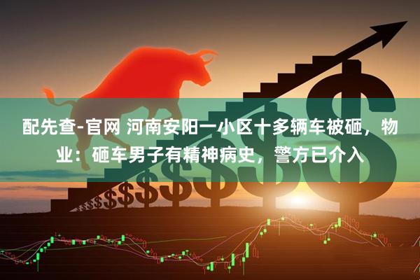 配先查-官网 河南安阳一小区十多辆车被砸，物业：砸车男子有精神病史，警方已介入